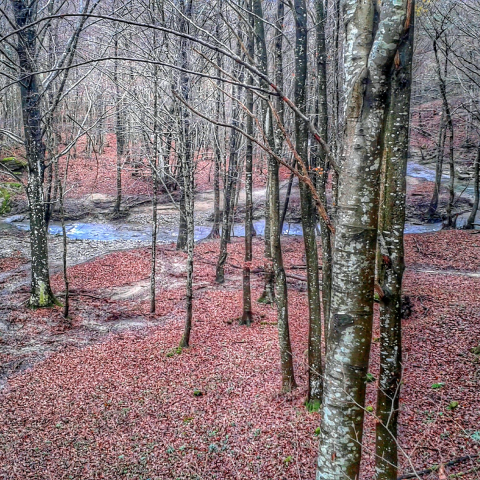 Fosso dell'Acquacheta 